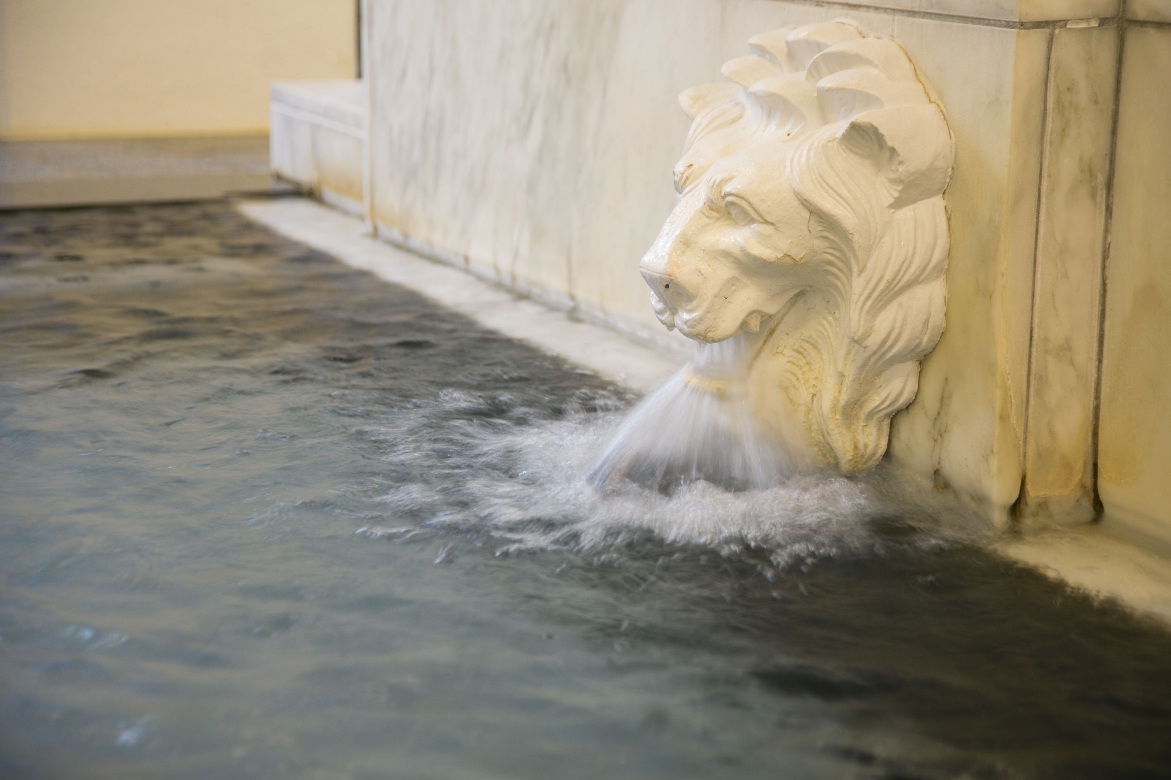 Escultura de cabeza de león de piedra con agua brotando de su boca.