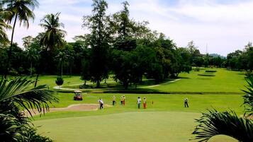 Players tee off on the well-manicured green, surrounded by lush palm trees and sand bunkers.