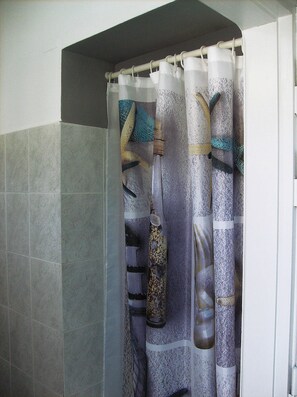 Shower, free toiletries, hair dryer