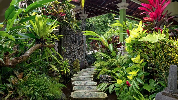 A stone pathway leading through a lush garden with various plants and a rock wall. - The Tunjung Ubud Retreat (Ubud)