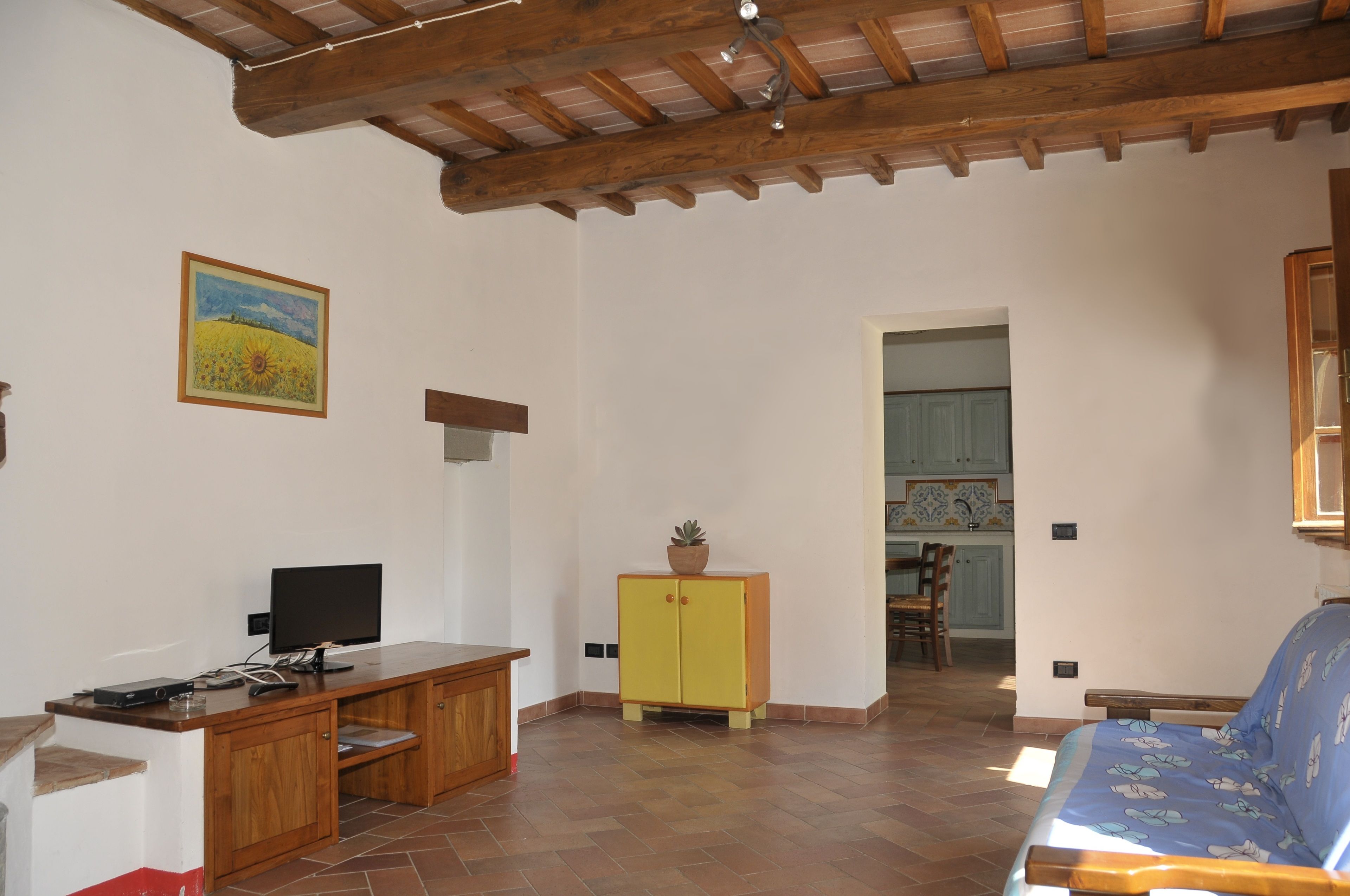 Un salón amplio con techo de madera, un televisor sobre un mueble de madera, un aparador amarillo con una planta y un sofá azul con estampados de caricaturas.