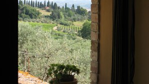 A window with a view of a vineyard and distant mountains. - Agriturismo Renai e Monte (Gambassi Terme)