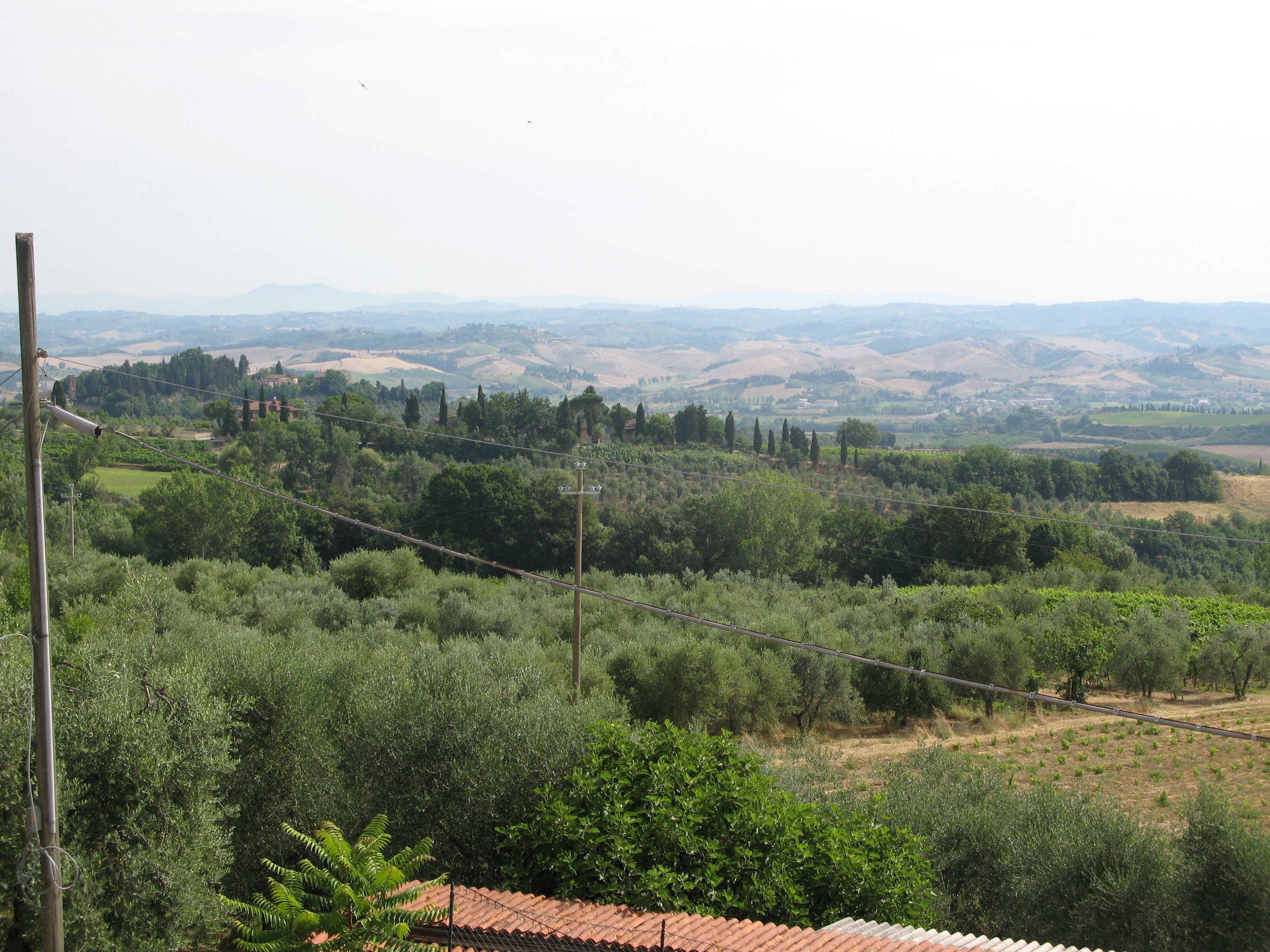 Un paysage rural caractérisé par des collines douces, des vignobles et une ville située au loin.