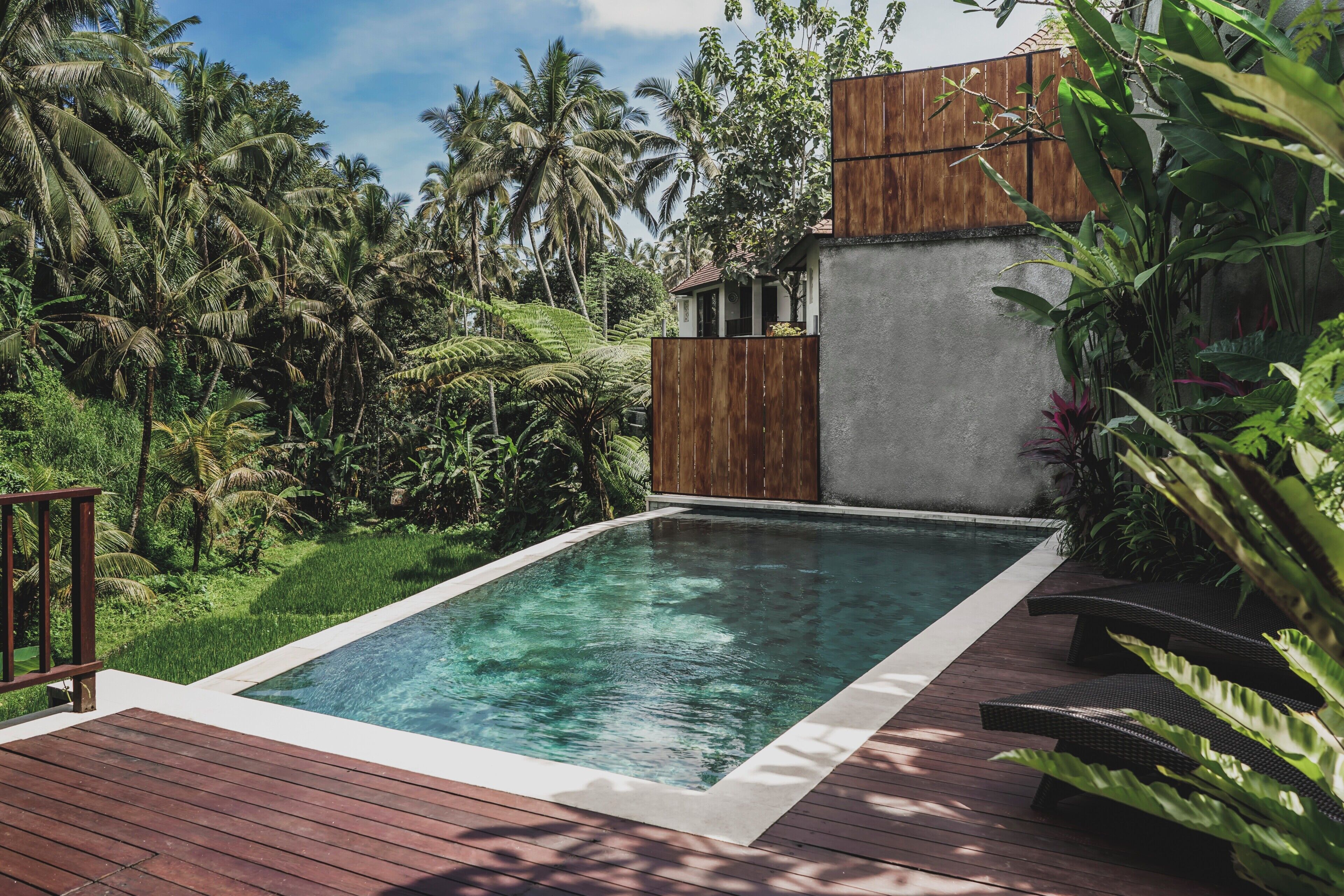 A rectangular swimming pool with a wooden deck, surrounded by lush greenery and palm trees.