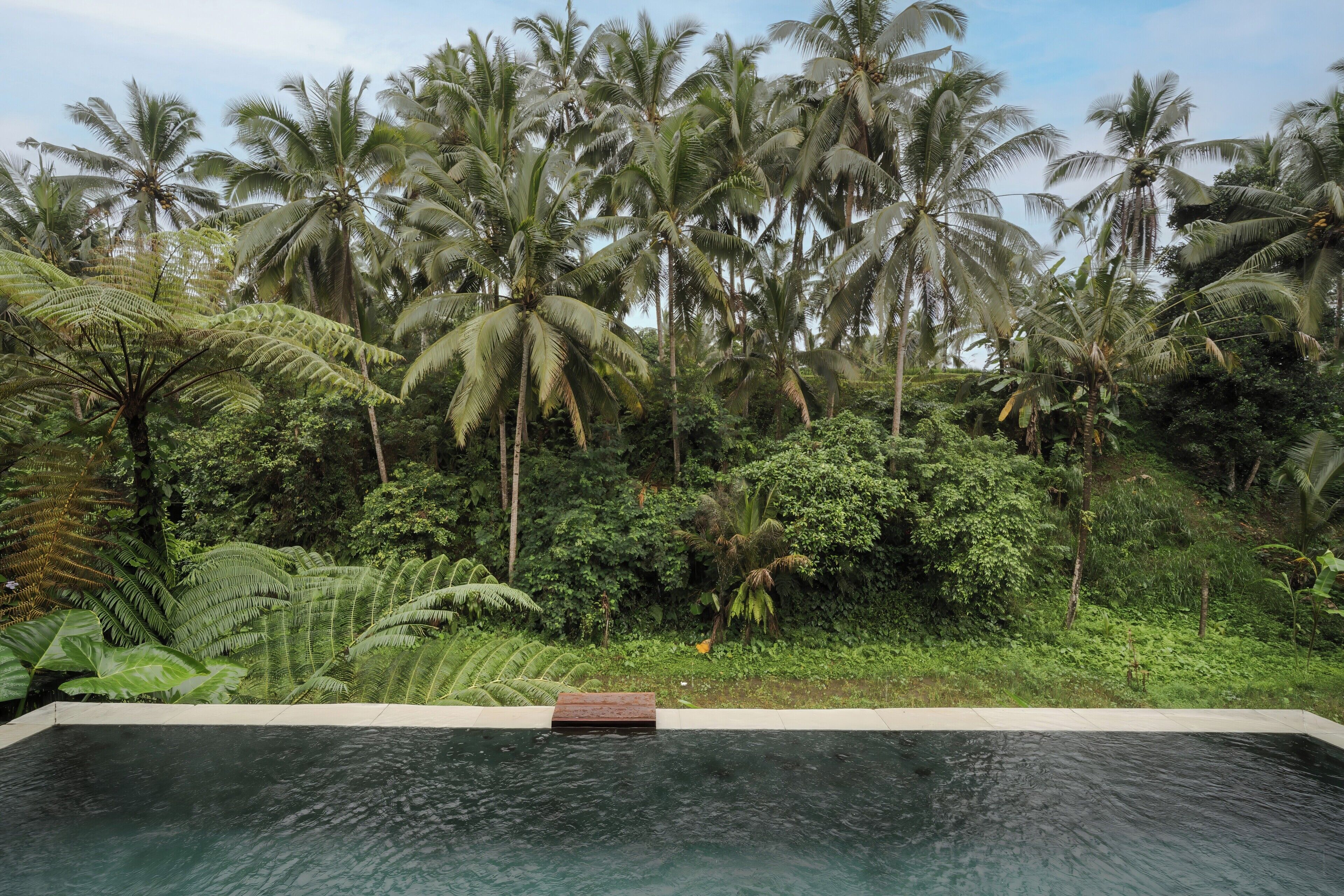 Grand One Bedroom with Forest View Villa with Private Pool | Vistas desde la habitación