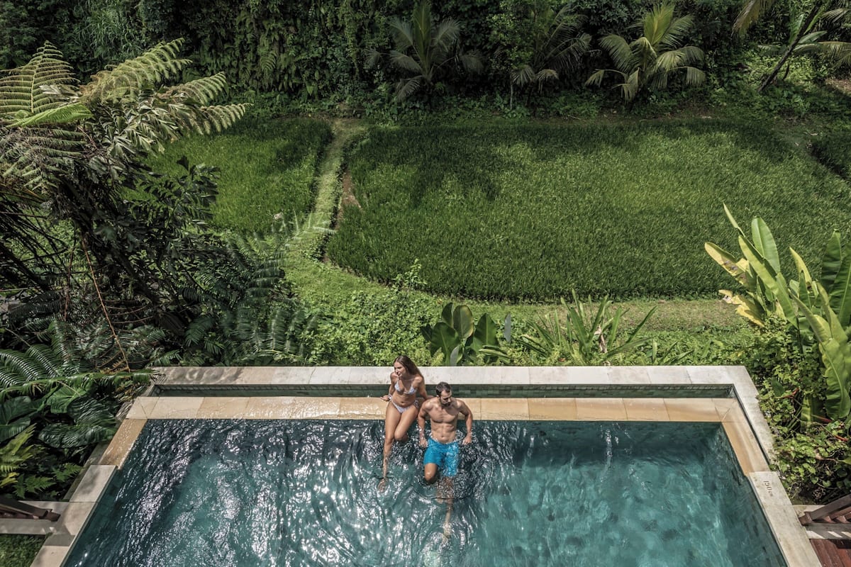 A rectangular pool with clear water, surrounded by lush greenery and a well-maintained lawn.