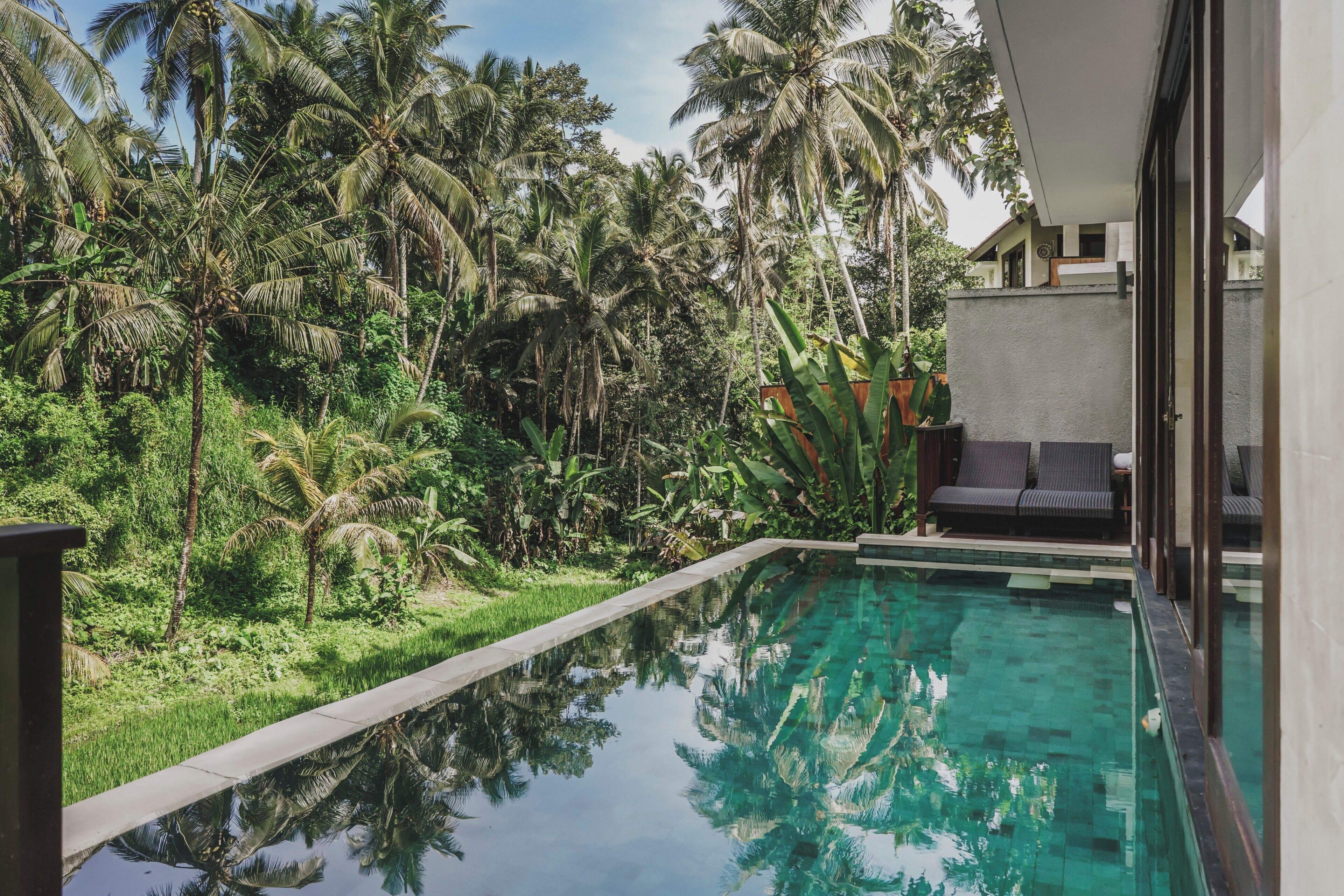 Foto - Dedary Resort & Spa Ubud by Ini Vie Hospitality
