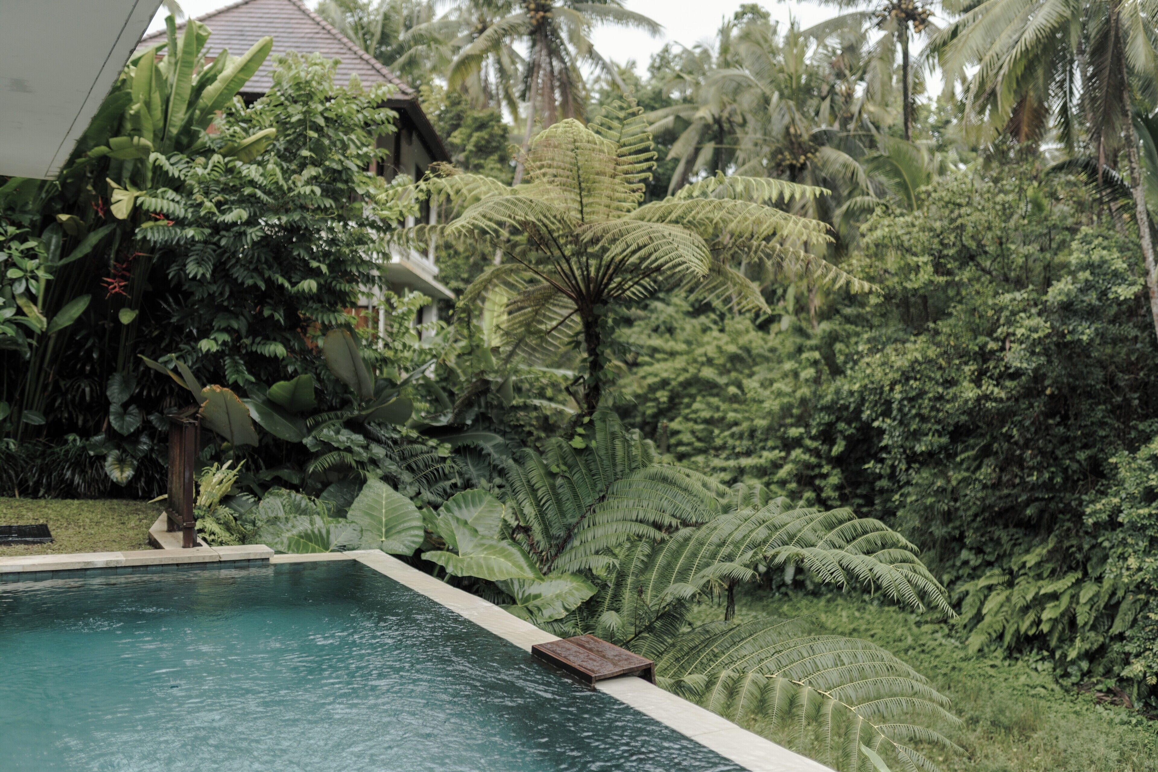Una piscina al aire libre, sillones reclinables de piscina