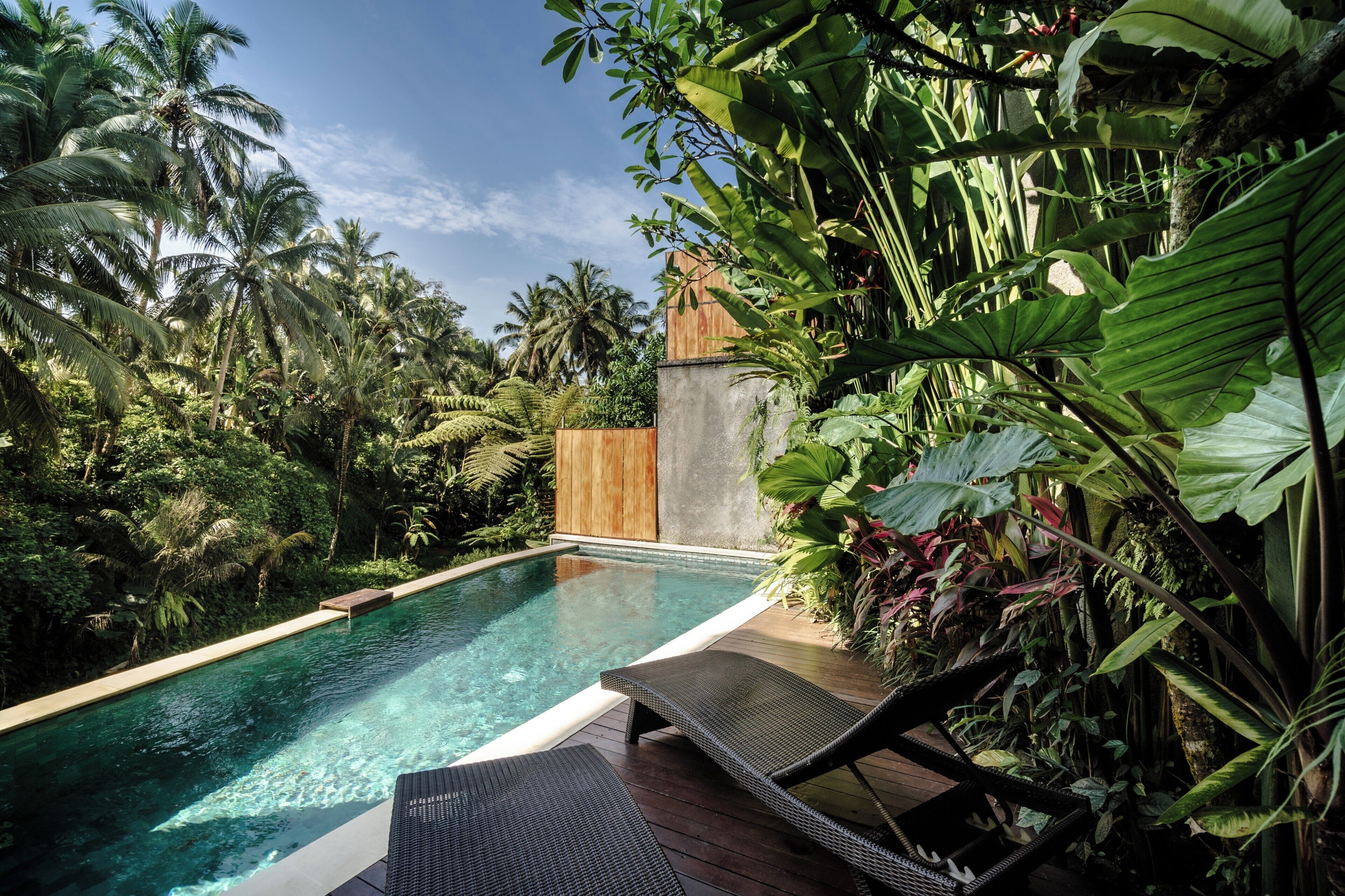 Grand Two Bedroom Private Pool Villa with Forest View | View from room