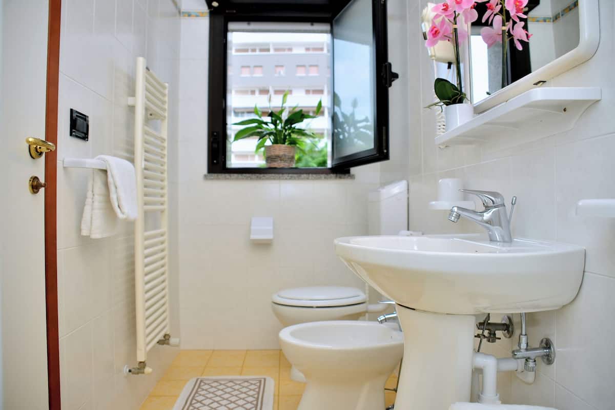 double or twin room | bathroom | shower, free toiletries, hair dryer, bidet