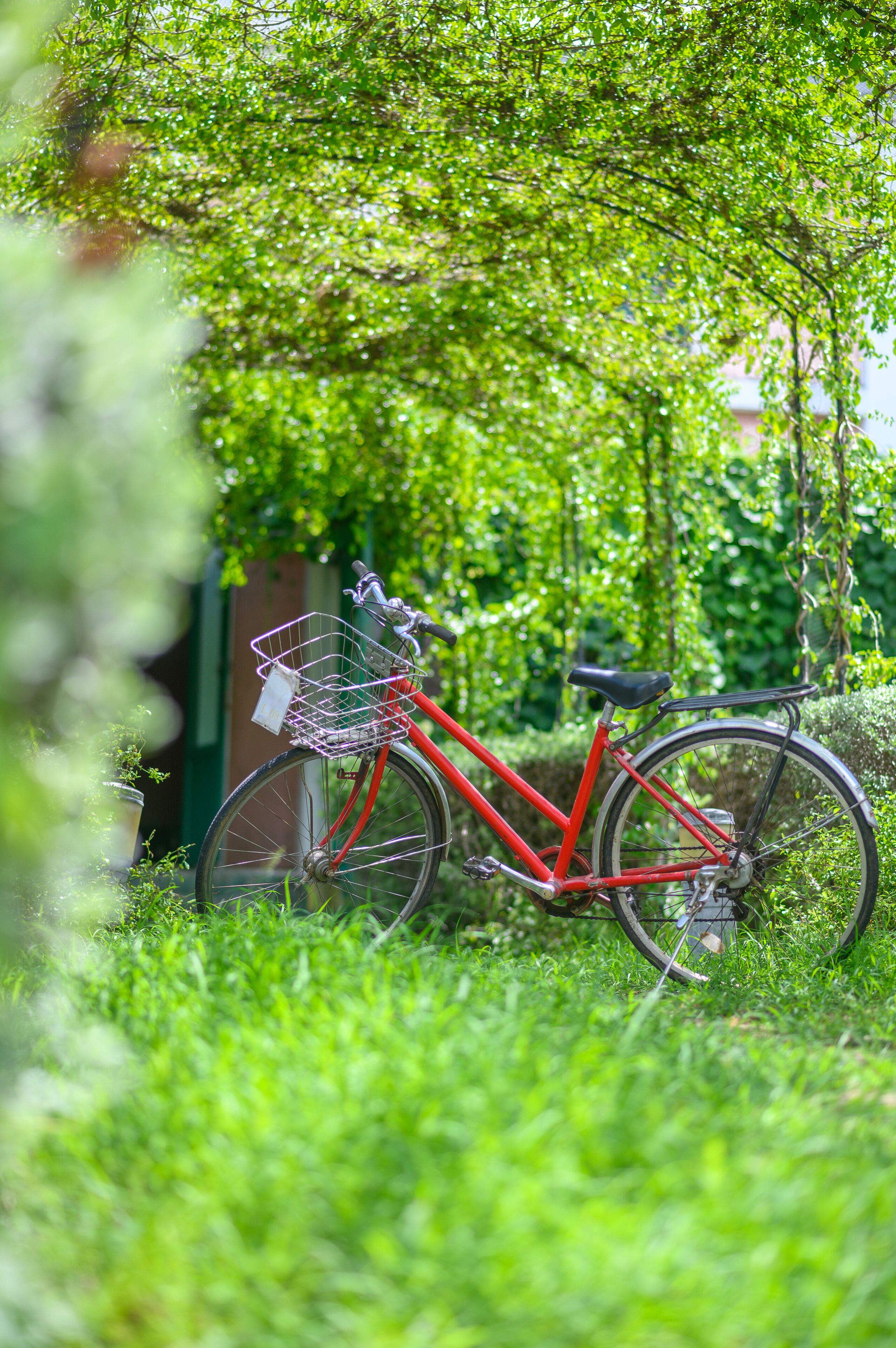 A red bicycle parked in a lush green area with dense foliage in the background.