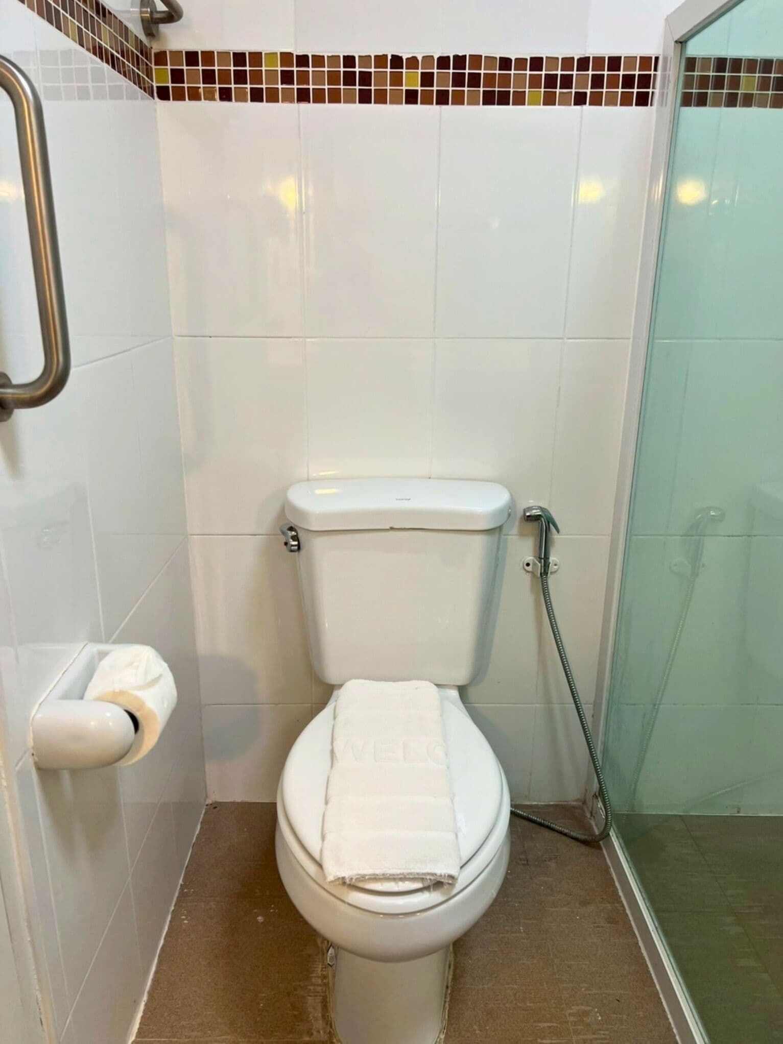 A bathroom with a toilet, a shower, and a handrail.