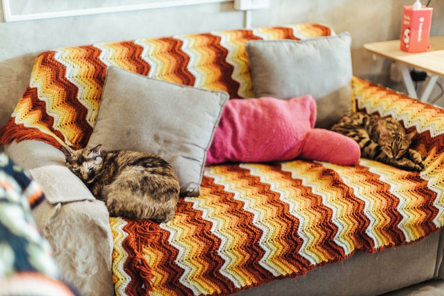 A sofa with a chevron-patterned blanket, a pink pillow, and two cats.