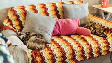 A sofa with a chevron-patterned blanket, a pink pillow, and two cats.