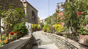 A narrow stone pathway flanked by potted plants and flowers, leading to a building with a rustic facade. - Locanda Ca Da Iride (Riomaggiore)