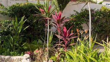 Jardim