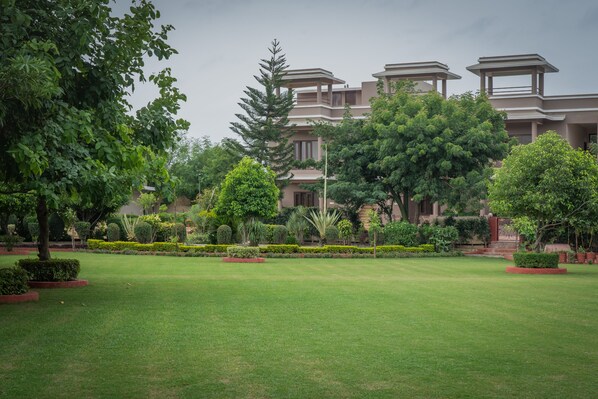 A well-maintained lawn with a building in the background.