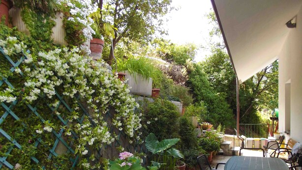 A patio area with a table and chairs, surrounded by potted plants and a climbing white flower wall. - B&B L'Intrigante (Seborga)