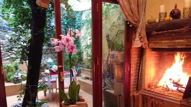 A cozy room with a fireplace, a table with oranges, and a potted orchid. - La Casona Albaida (Albaida)