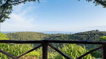 Superior Room with Panoramic Sea View - Karmi | Terrace/patio