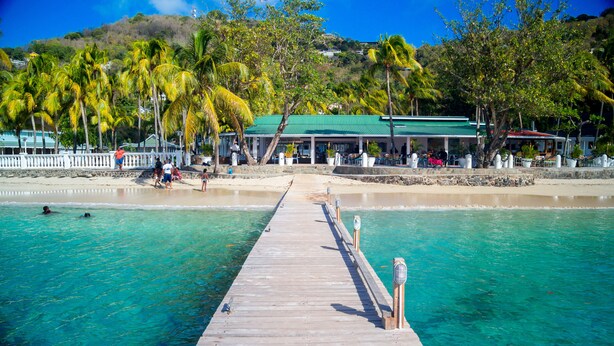 A wooden pier leading to a beach with clear turquoise water, palm trees, and a building with a green roof in the background.