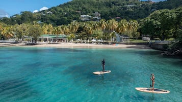 Surf/boogie boarding