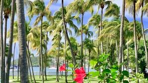 A tropical landscape with palm trees and a body of water in the background.