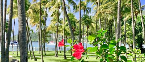 Un paisaje tropical con palmeras y una masa de agua al fondo.