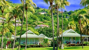 A poolside view of a resort with multiple green-roofed buildings, surrounded by palm trees and lush greenery.
