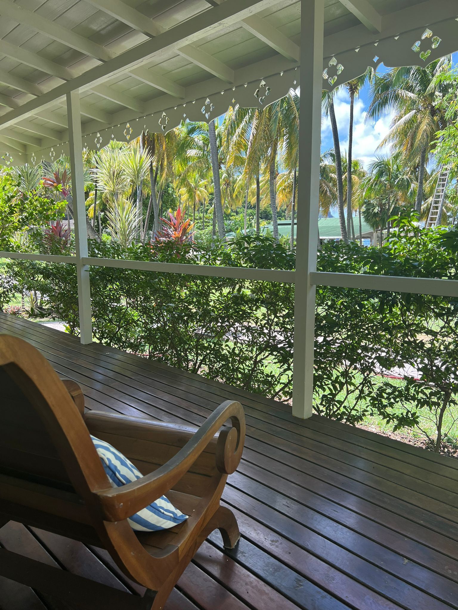 Um banco de madeira sob uma cobertura, com vista para um jardim tropical e palmeiras.