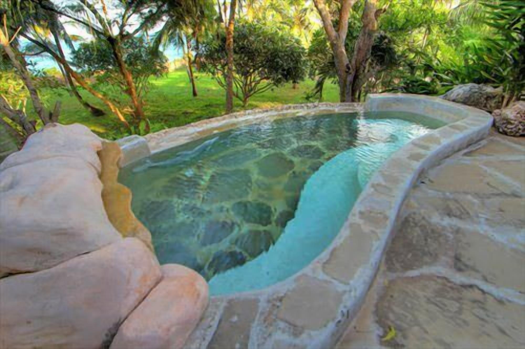 Une piscine aux eaux cristallines, bordée de pierres, entourée d’une végétation luxuriante et d’arbres.