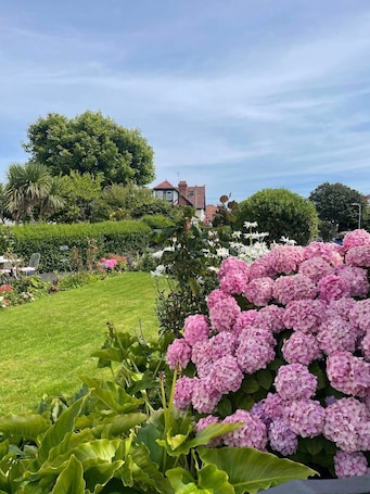 Garden. Rosaire Guest House