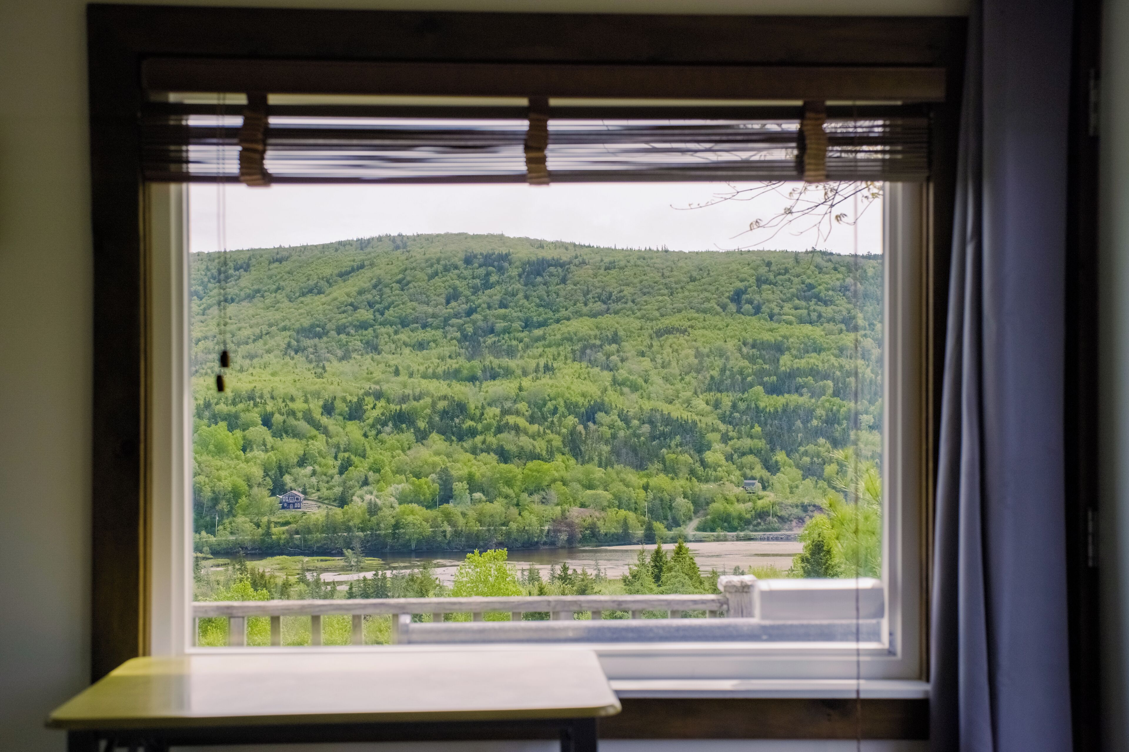 Standard Studio | View from room