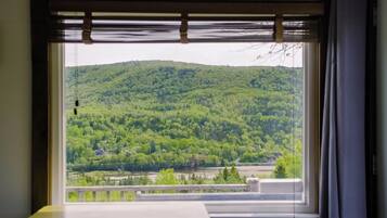 Standard Studio | View from room