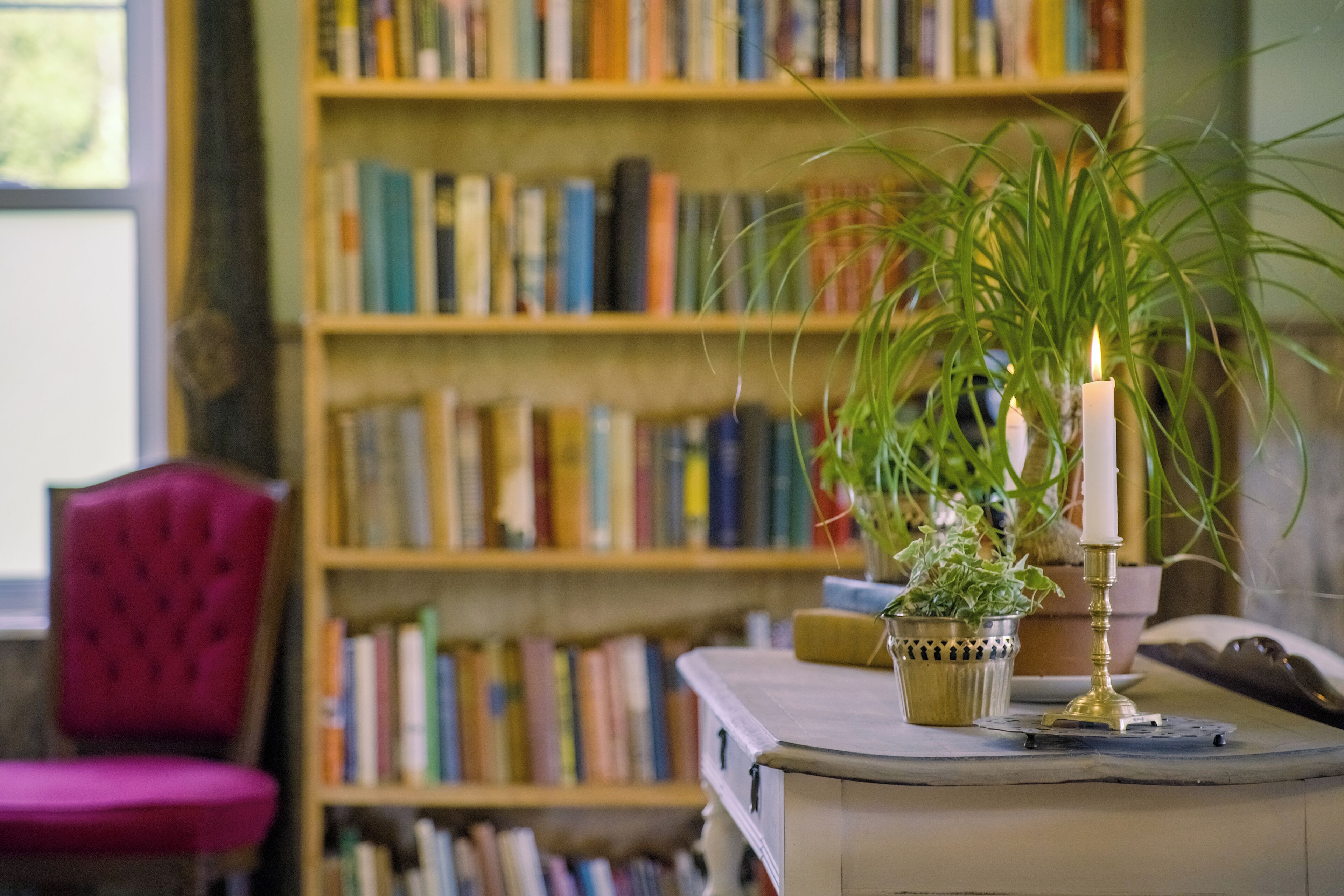 A room with a bookshelf filled with books, a potted plant, and a candle on a table.