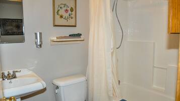 Un baño con inodoro, lavamanos y ducha.