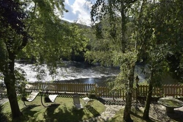 Tuin