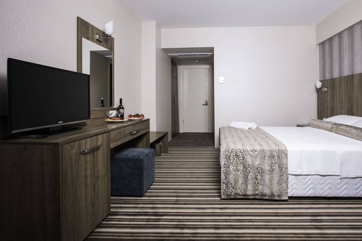 Standard Room, 1 Double Bed