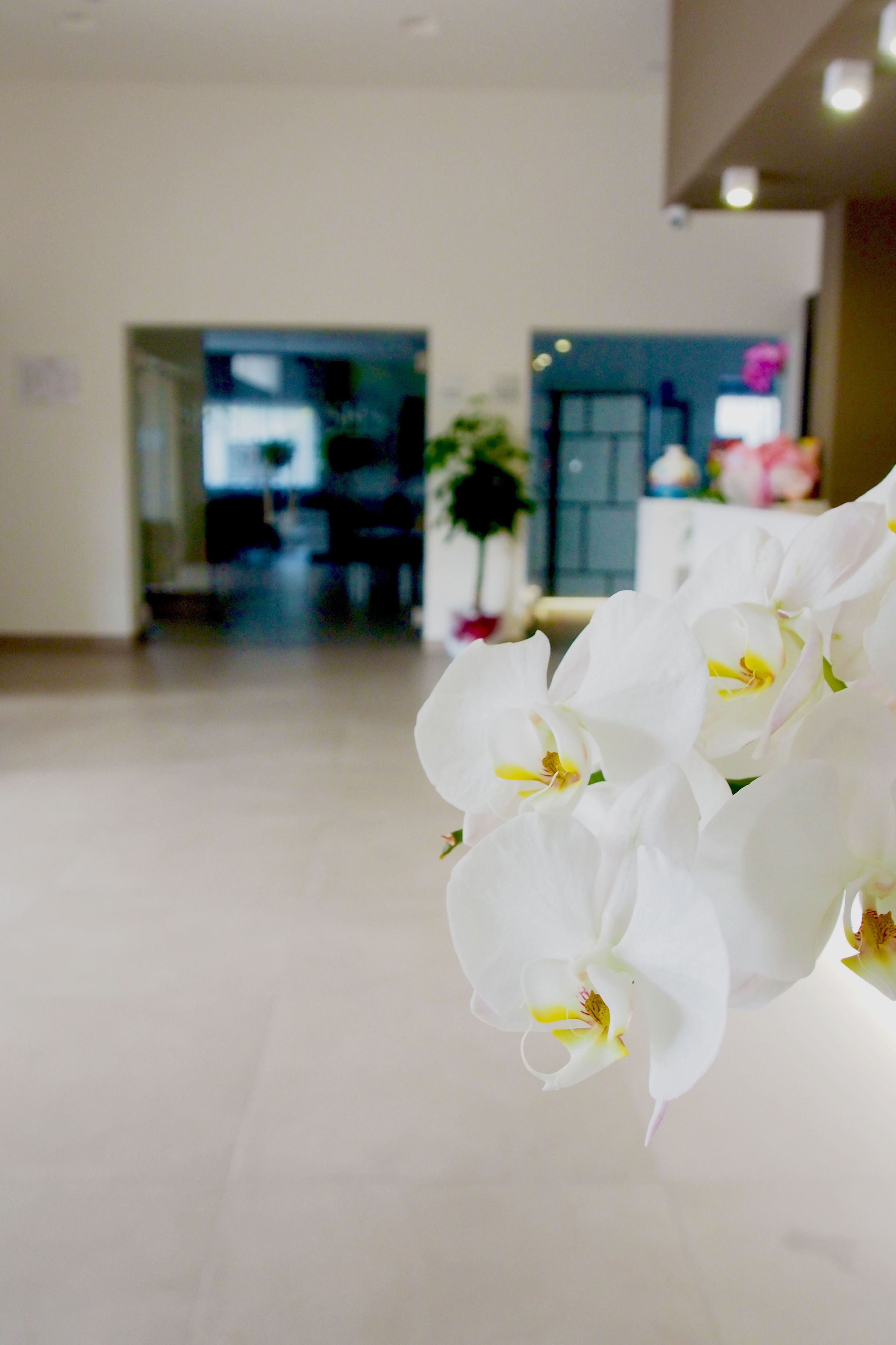 A modern hotel lobby with a clear pathway leading to the reception area.
