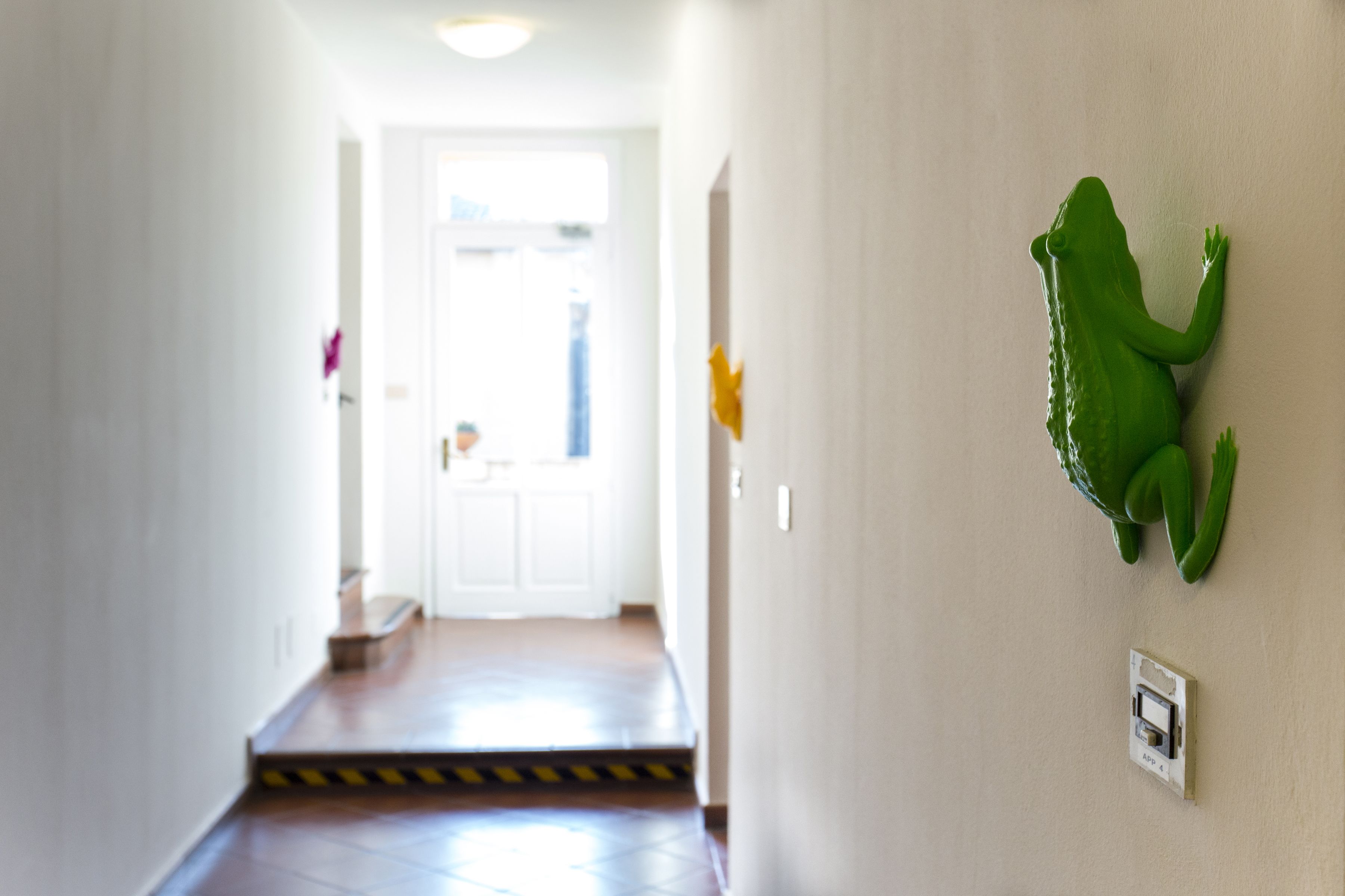 Een hal met een groene kikker decoratie aan de muur, een deur aan het einde, en een lichtschakelaar.