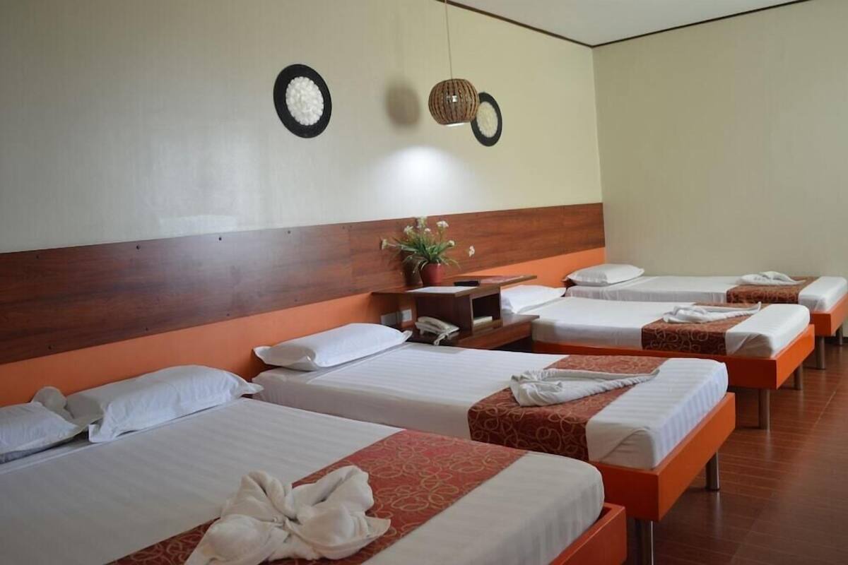 A hotel room with four single beds, a wooden headboard, a small table with a plant, and a wall clock.