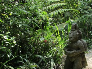 Garden - Hospedaje Mariposa (Monteverde)