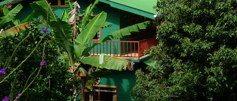 View from room