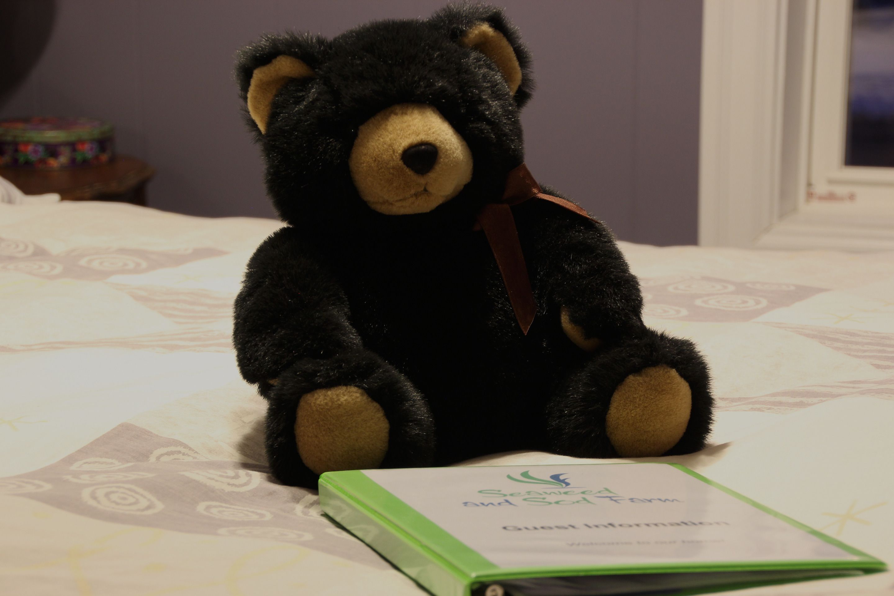A black teddy bear sitting on a bed with a green folder labeled "Guest Information" beside it.
