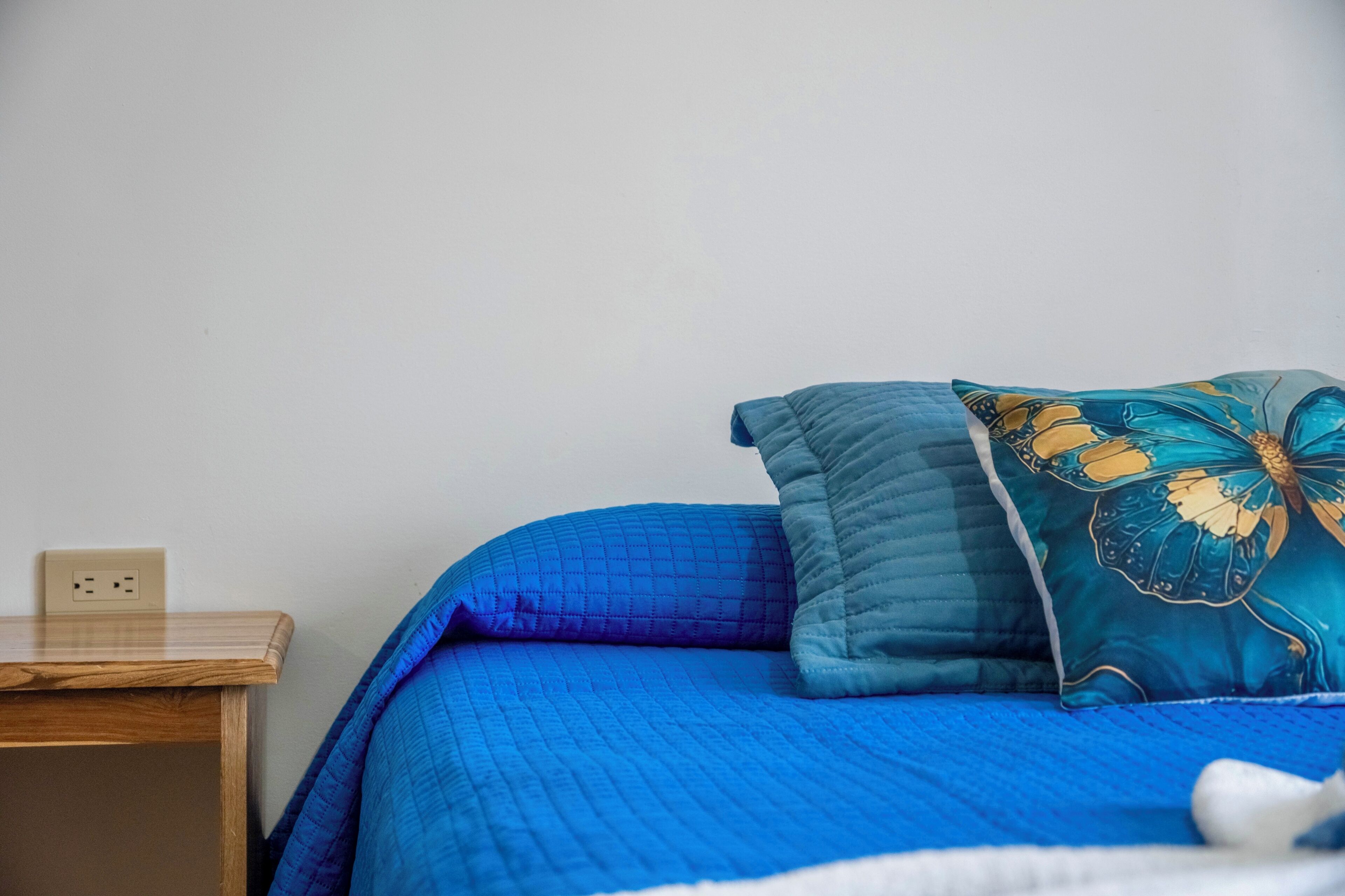 Photo - Monteverde Ecolodge
