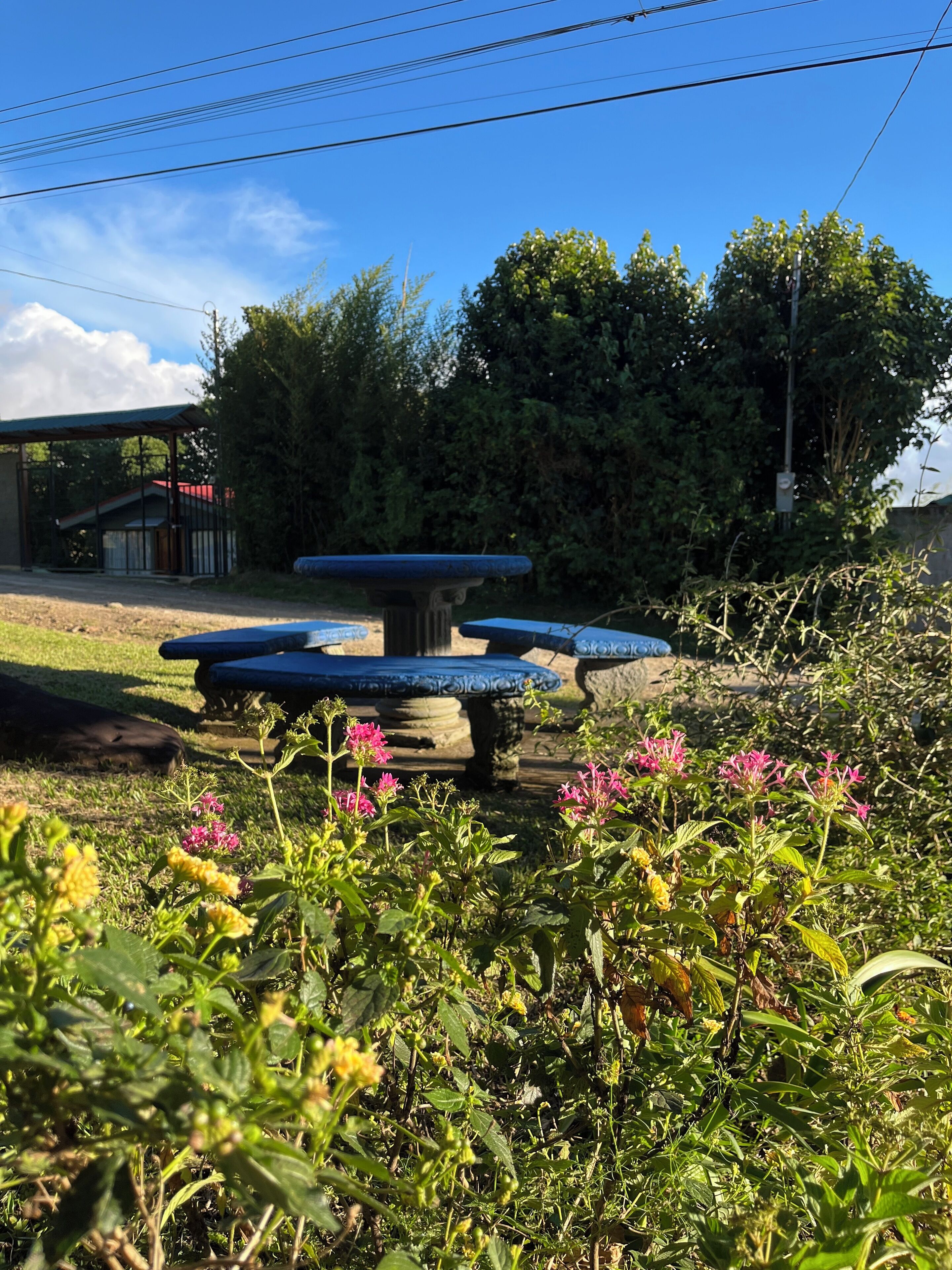 Photo - Monteverde Ecolodge
