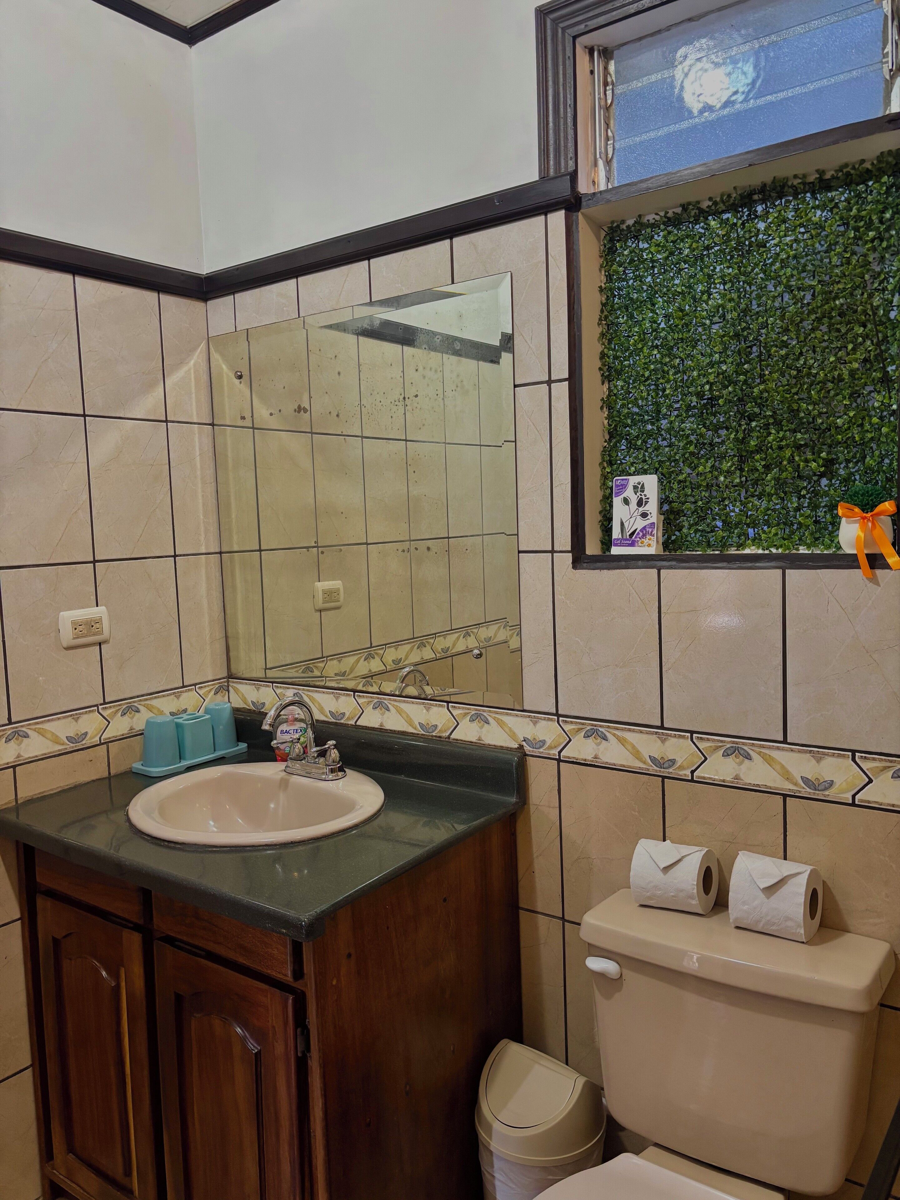 Foto - Monteverde Ecolodge