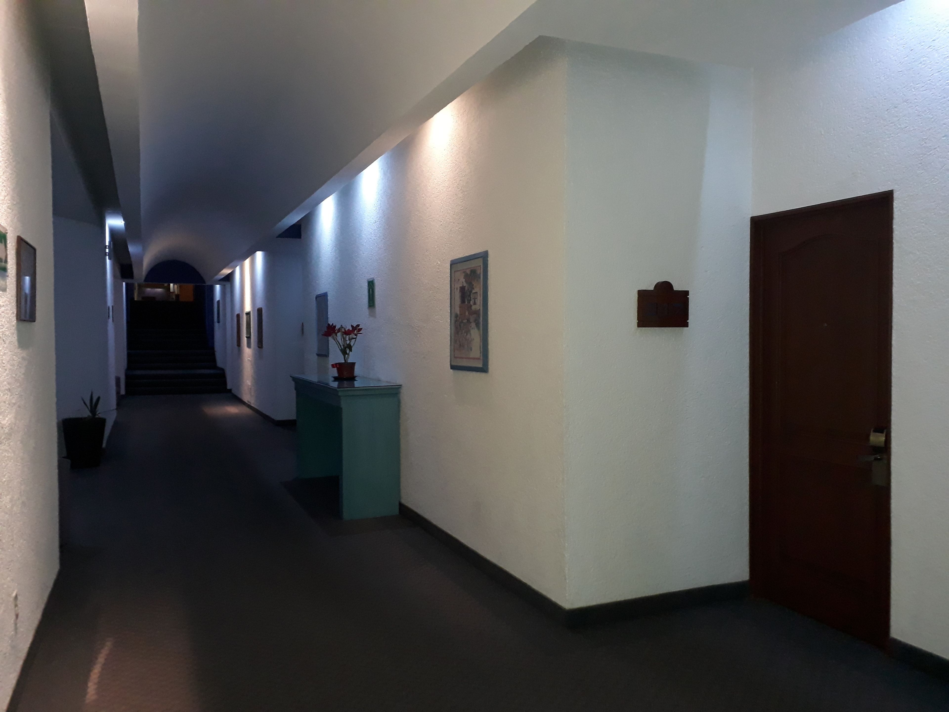 A long, narrow hallway with a staircase at the end. The walls are white, and there are several framed pictures and a potted plant on the walls.