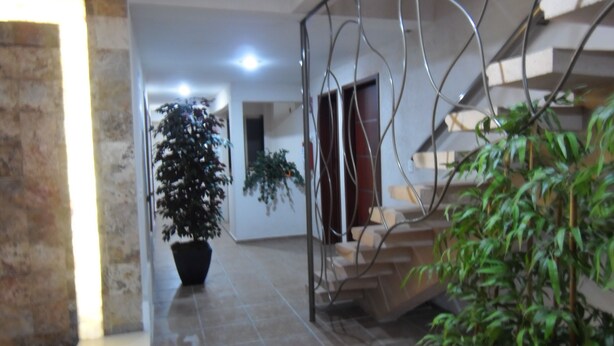 A spacious hallway with a large potted plant, a staircase, and a metal railing. - Hotel RS (Córdoba)