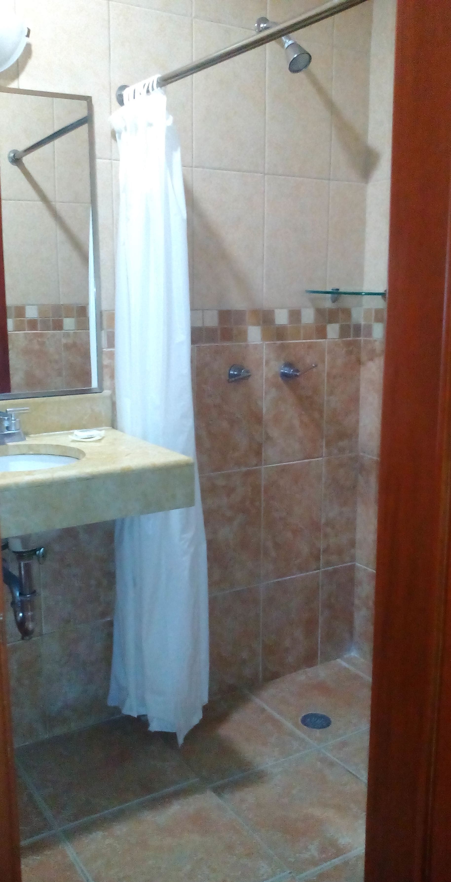 A bathroom with a shower, a sink, and a mirror.